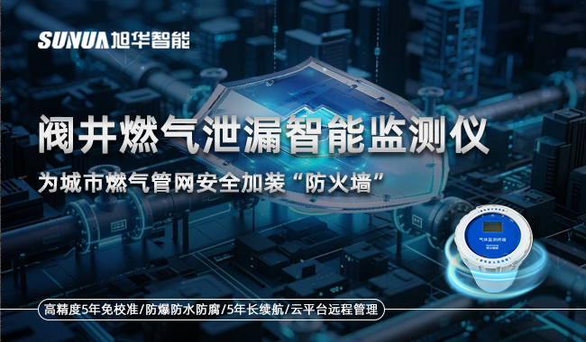 阀井燃气泄漏智能监测仪