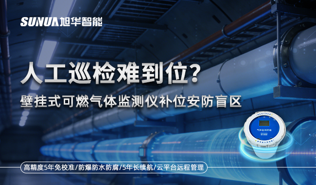 可燃气体监测仪